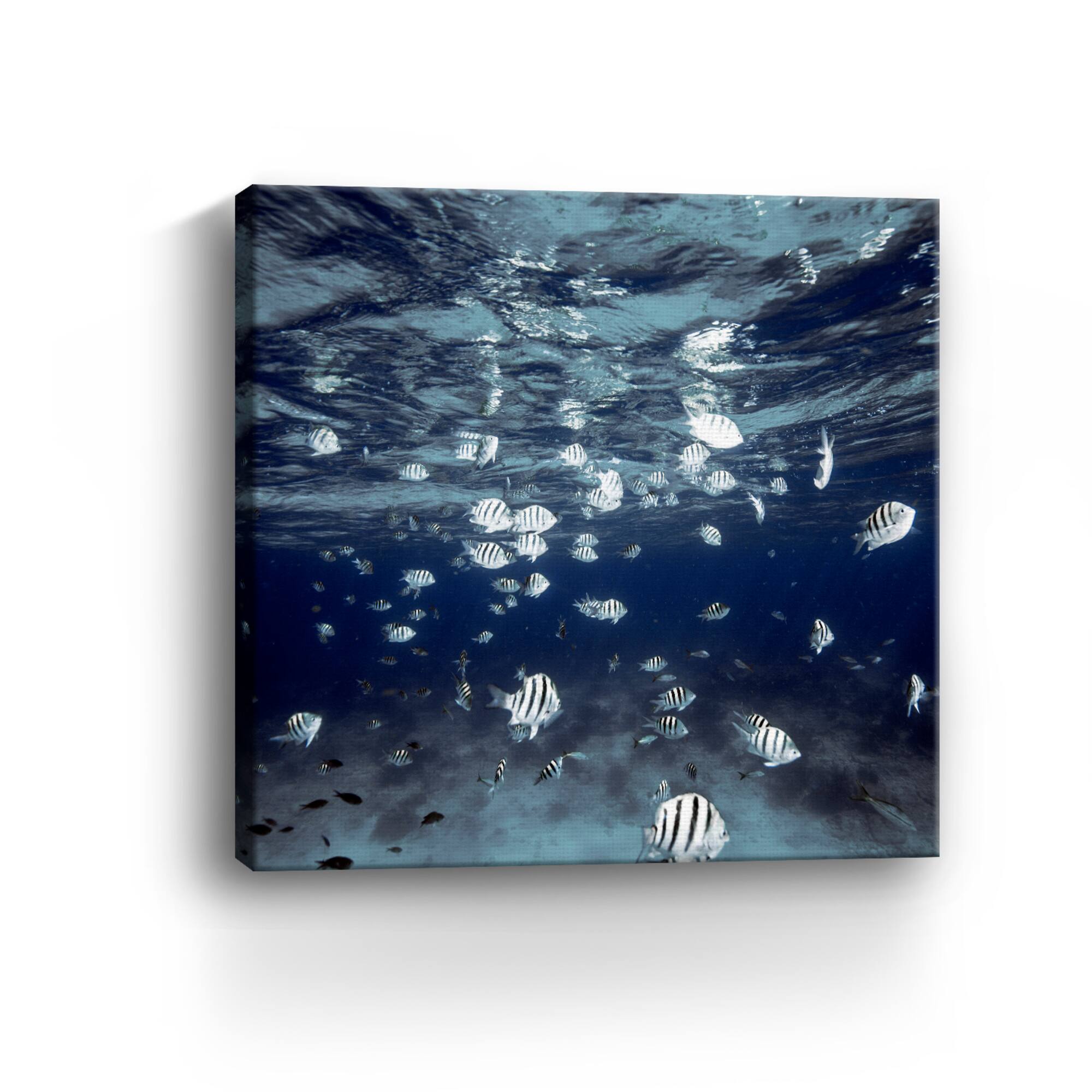 Indigo School Canvas Giclee